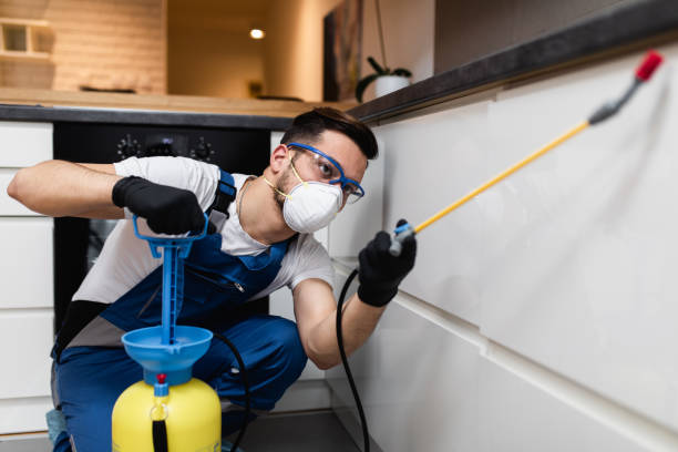 Best Bed Bug Extermination  in Carrizo Springs, TX