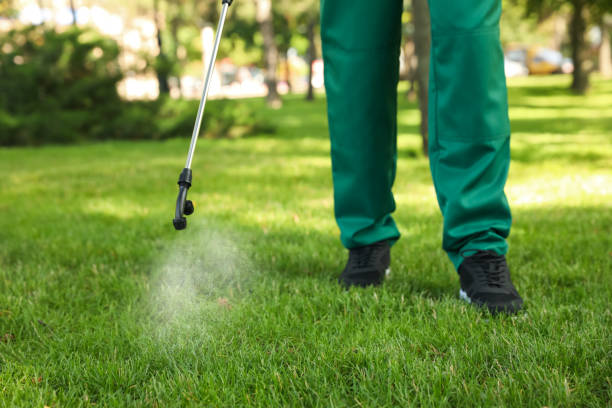 Best Wasp Removal Services  in Carrizo Springs, TX