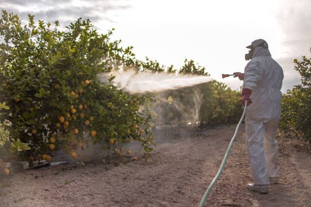 Best Pest Control Cost  in Carrizo Springs, TX