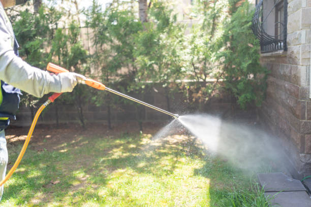 Best Pest Prevention Services  in Carrizo Springs, TX