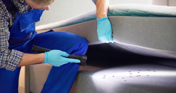 Best Wasp Removal Services  in Carrizo Springs, TX