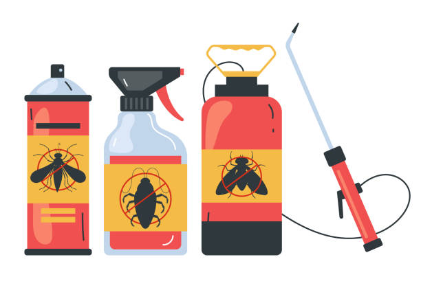 Best Affordable Pest Control Services  in Carrizo Springs, TX