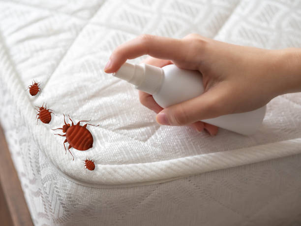 Best Flea Control Services  in Carrizo Springs, TX