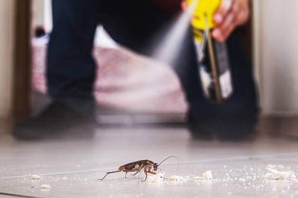Best Affordable Pest Control Services  in Carrizo Springs, TX