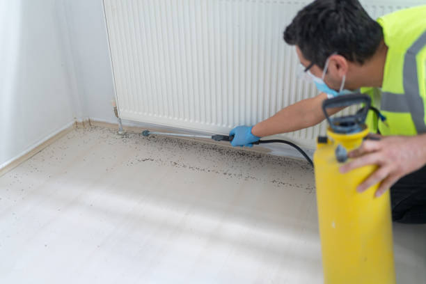 Trusted Carrizo Springs, TX Pest Control Experts