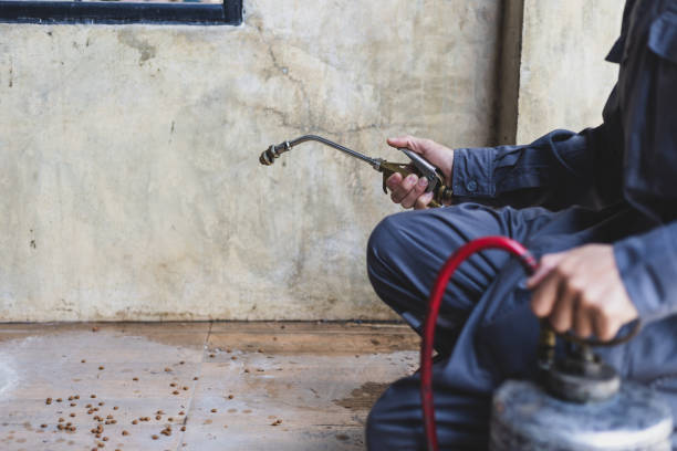 Best Pest Inspection Near Me  in Carrizo Springs, TX