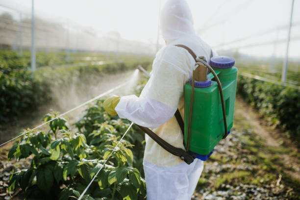 Best Mosquito Control Services  in Carrizo Springs, TX